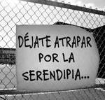 serendipia diversidad