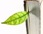 manual con hoja verde